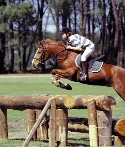 L'escale N°5 * Tartas